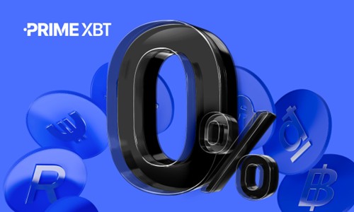 Discovering the PrimeXBT Team Innovators in Financial Technology